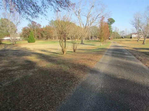 925 Damron Loop, Counce, TN 38326 photo 14