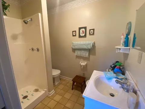 375 Opel Loop, Savannah, TN 38372 photo 9