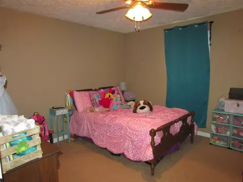 3060 Ramer Selmer Rd, Ramer, TN 38367 photo 11