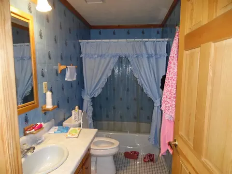 820 John George Loop, Michie, TN 38357 photo 10