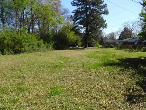 320 Plainview Dr, Savannah, TN 38372 photo 15