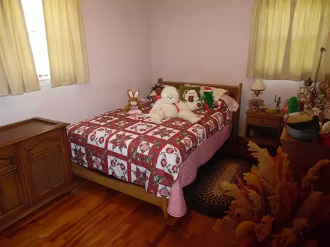 320 Plainview Dr, Savannah, TN 38372 photo 11