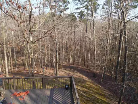 55 Strobbe Ln, Counce, TN 38326 photo 20