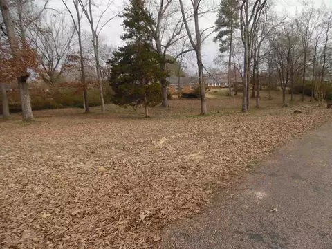 1095 Wayne Rd, Savannah, TN 38372 photo 10