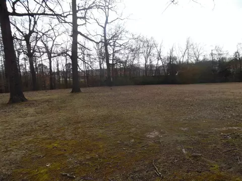 1095 Wayne Rd, Savannah, TN 38372 photo 4