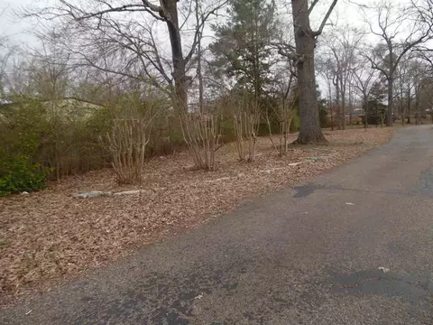 1095 Wayne Rd, Savannah, TN 38372 photo 16