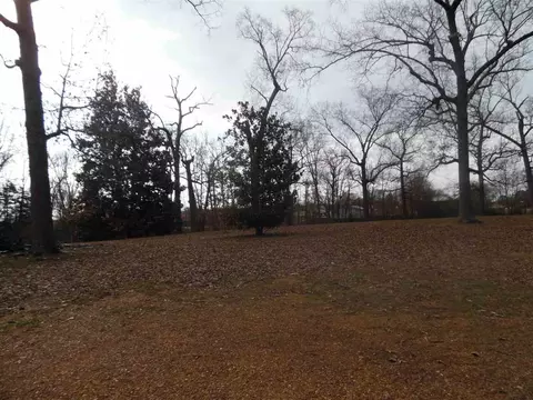 1095 Wayne Rd, Savannah, TN 38372 photo 15