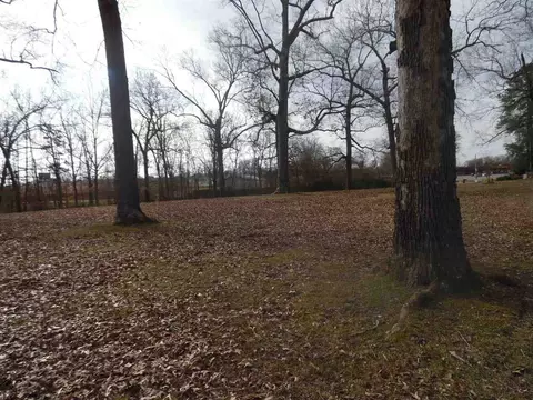 1095 Wayne Rd, Savannah, TN 38372 photo 9