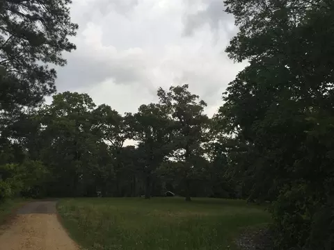 1095 Wayne Rd, Savannah, TN 38372 photo 3