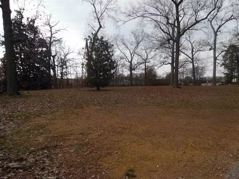 1095 Wayne Rd, Savannah, TN 38372 photo 14