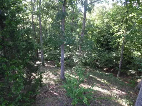 160 Strobbe Ln, Counce, TN 38326 photo 14