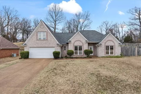 6190 Molsonwood Cv, Memphis, TN 38135