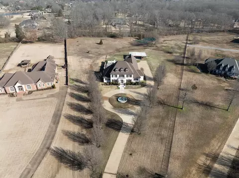 9446 Forest Wind Cv, Collierville, TN 38017 photo 5
