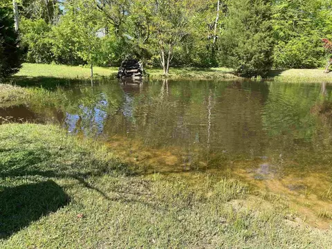 9446 Forest Wind Cv, Collierville, TN 38017 photo 39