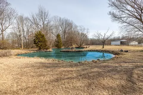 9446 Forest Wind Cv, Collierville, TN 38017 photo 8