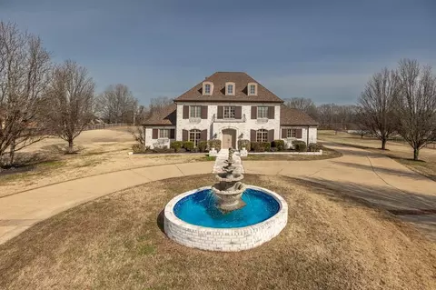 9446 Forest Wind Cv, Collierville, TN 38017 photo 4