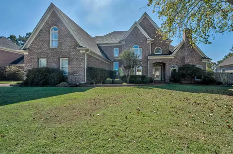 681 Red Bark Dr, Collierville, TN 38017