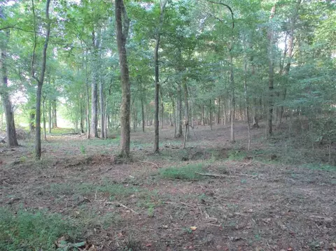 3190 Bobbitt Rd, Williston, TN 38076 photo 16