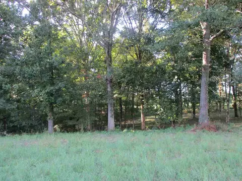 3190 Bobbitt Rd, Williston, TN 38076 photo 15