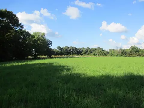 3190 Bobbitt Rd, Williston, TN 38076 photo 11