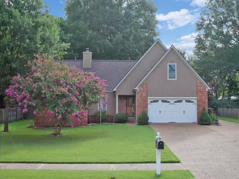 932 Moorefield Rd, Collierville, TN 38017 photo 1