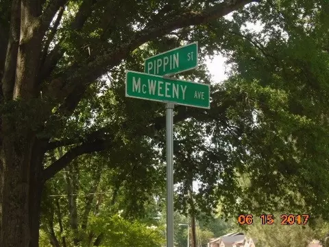 3981 Mcweeny Ave, Memphis, TN 38128 photo 16