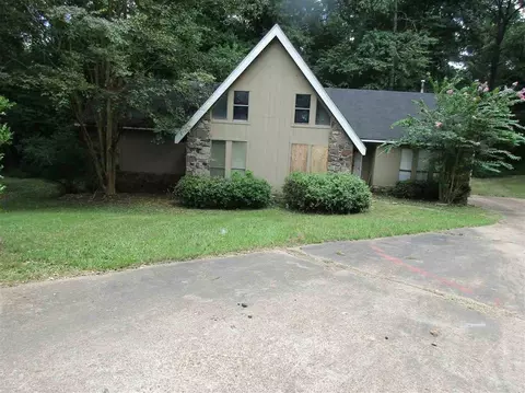 2986 Beechridge Cv, Memphis, TN 38128 photo 19