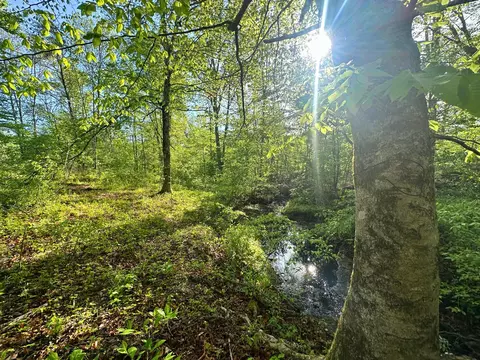 0 Rack Clayton Rd, Hohenwald, TN 38462