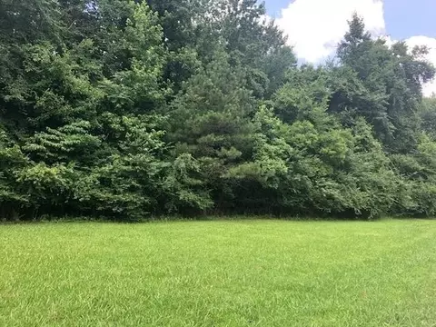 0 Lynnwood Cv, Adamsville, TN 38310