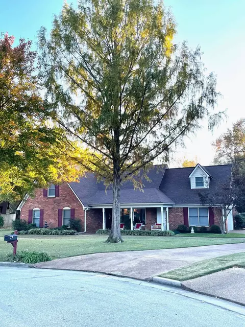 9336 Morning Grove Cv, Cordova, TN 38016