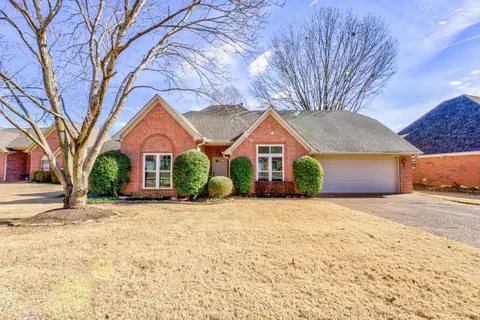 954 Wildbird Cv, Collierville, TN 38017