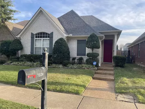 7229 Grapetree Trail Rd, Cordova, TN 38018