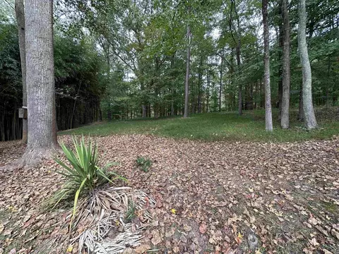 85 John Brown Rd, Beech Bluff, TN 38313 photo 36