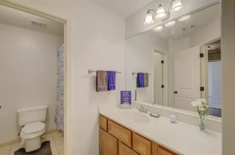 10518 Fireweek Ln, Collierville, TN 38017 photo 18