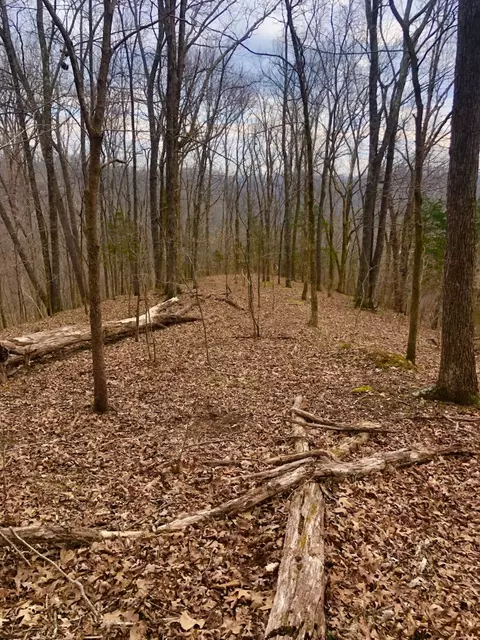 0 Simpkins Rd, Whites Creek, TN 37189