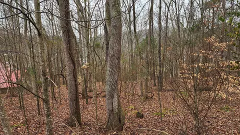 0 Lauren Ln, Baxter, TN 38544 photo 6