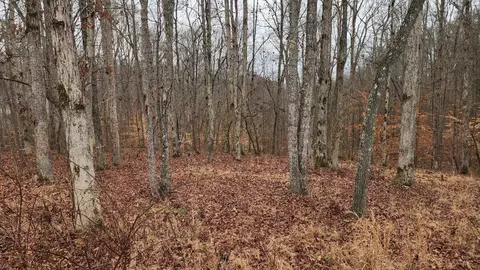 0 Lauren Ln, Baxter, TN 38544 photo 3