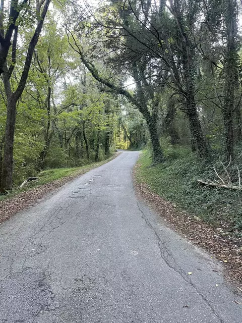 0 Browder Switch Rd, Jasper, TN 37347