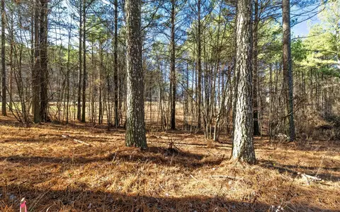 1125 Split Rail Way, Guild, TN 37340 photo 12