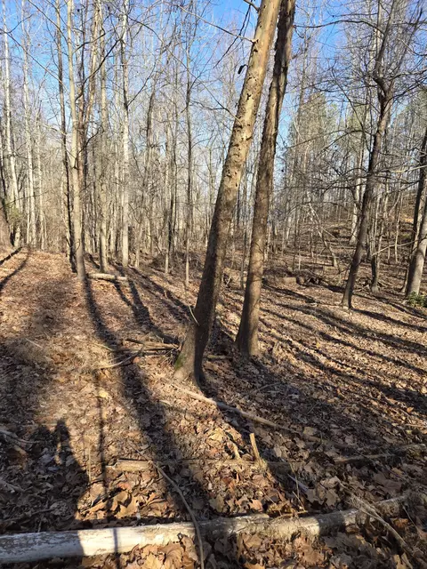 0 River Oaks Dr, Big Sandy, TN 38221