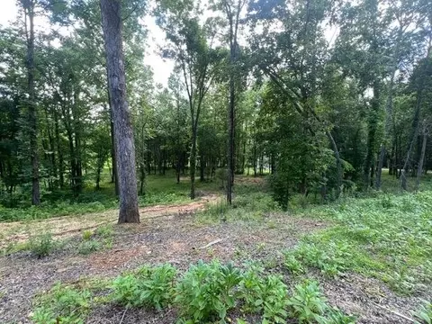 340 Delta Queen Cv, Clifton, TN 38425