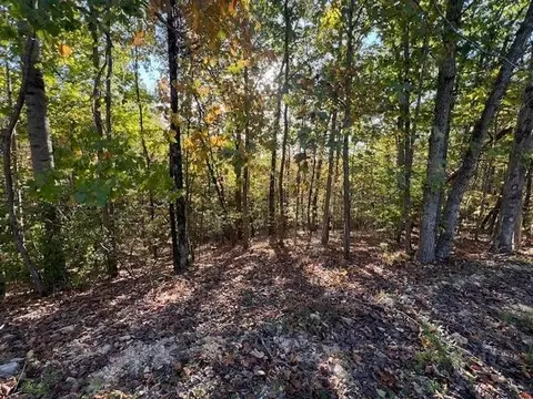 44 James Ridge Rd, Clifton, TN 38425