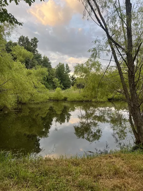 5670 Borthick Rd, Springfield, TN 37172