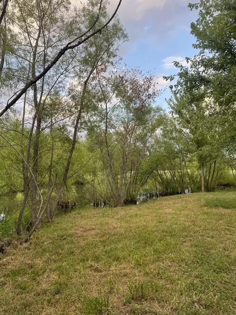 5670 Borthick Rd, Springfield, TN 37172 photo 3