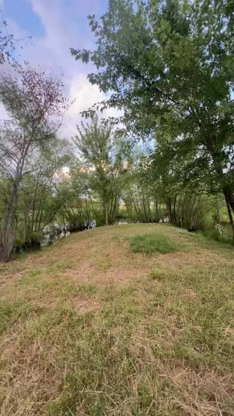 5670 Borthick Rd, Springfield, TN 37172 photo 4