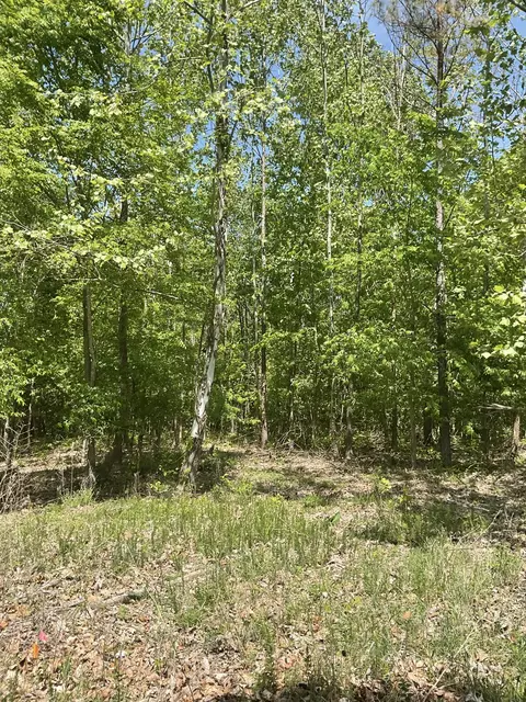 98 Saddleback Dr, Dover, TN 37058 photo 14