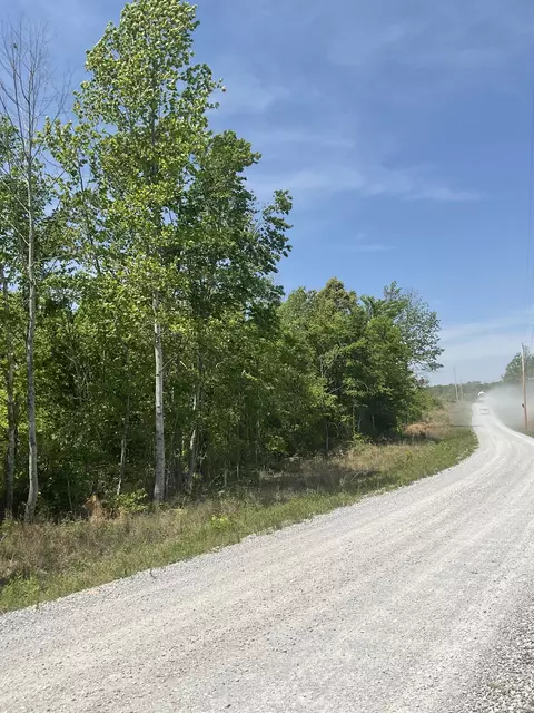 98 Saddleback Dr, Dover, TN 37058 photo 7