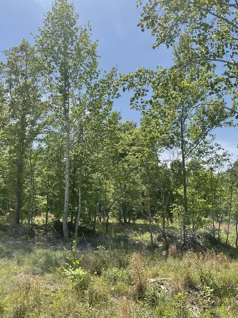 98 Saddleback Dr, Dover, TN 37058 photo 6
