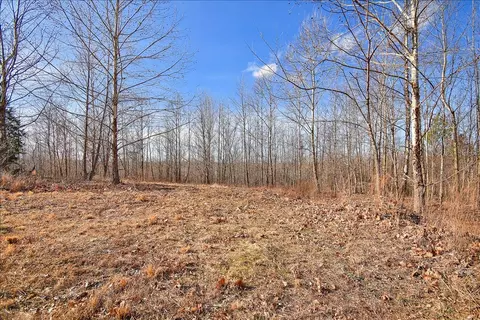 98 Saddleback Dr, Dover, TN 37058 photo 18