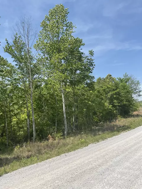 98 Saddleback Dr, Dover, TN 37058 photo 8